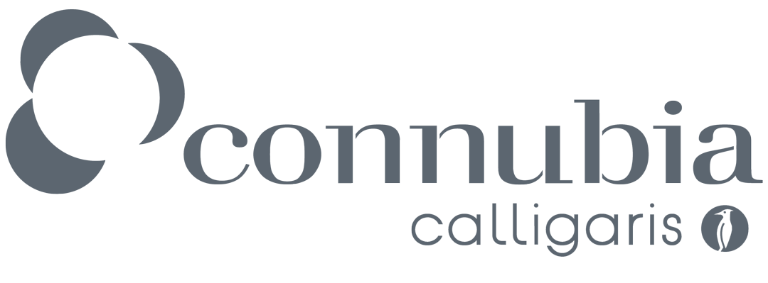 Logo Connubia 2018